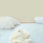 <b>재아</b>줄랙?