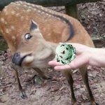 <b>민초</b> 제군들이여!!!! 들어오거라!!!