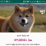 [댓글부탁해] 제트스트림 써도되는거지?
