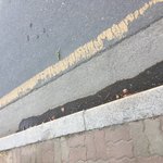 [댓글부탁해] ㅈㅂ짝남한테 고백옴 추반좀...