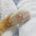 니네가 좋아하는거(<b>빛삭</b>)