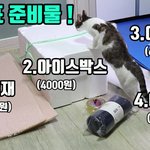 [고양이] 자리 허락받고 길냥이 집 만들어뒀어요!