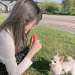 <b>루다</b>네 반려견 방구