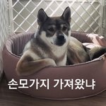 [뉴이스트] 너네 왜 낚아 짱난다☻
