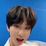 [세븐틴] <b>부끄</b>랑 아지