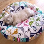 반려견의 <b>아늑</b>한 침대