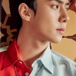 [EXO] 세후니 <b>화보</b> <b>뉴</b>짤 뜬거 콧대봐 대박