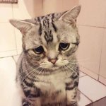 흐<b>이이</b>잉ㅜㅜ 따뿌라~~~~