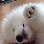 아아<b>아악</b>！！！！！！！