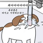 아니 짝남 이거때매 조카 미칙것같아