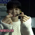 [세븐틴] 귀요미 돌아왔다