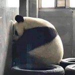 와 근데 특성<b>화고</b>는