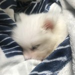 심심하면 울 귀염둥이 보고 가