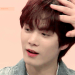 [뉴이스트] 꺄~ <b>랜</b><b>선</b>라이프하는날이다❤