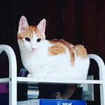 [쁘니단비] 쁘니단비 겨울잠에서 깨어나다~^^