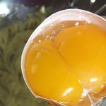 [댓글부탁해] 얘들아 <b>쌍란</b>나왔다!!!! 좋은기 받아강