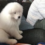 [댓글부탁해] 나화장ㄹㅇ쌩초본데도와주...