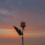 [댓글부탁해] 엄마 아빠 죽은 누나 둘이 보고파도 난 애써 잊은<b>채로</b>