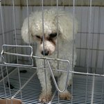 [드루와] 얘들아 이 글 빨리 톡선보<b>내자</b> 제발