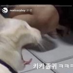 [댓글부탁해] <b>장용준</b> 판에서 내글 봤네