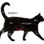 나 새내긴데 빻은 <b>로망</b>있음