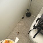 [댓글부탁해] 아 화장실에 <b>김밥</b> 한 개 떨어뜨림;