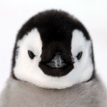 아 야자중인데 __댐