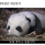 [댓글부탁해] 너네 주변에 남자같이 생긴 여자애 있어?