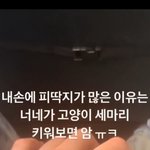 [댓글부탁해] <b>boom</b>