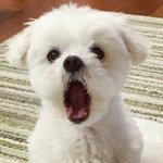 아니 <b>동아리</b> 면접볼<b>때</b>