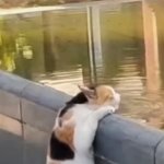 [댓글부탁해] 이새끼 <b>호수</b> 물 쳐마시는거봐