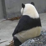 [드루와] 얘더라 알바공고에 <b>주휴</b>수당 안써져있는데