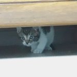 [댓글부탁해] 얘들아ㅠㅜㅡㅜㅠ 울애기 처음으로 감자 만들었다ㅠㅜㅜㅜㅜㅡㅠ