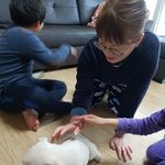 [강아지] 보호소에서 태어난 <b>둘리</b> 입양완료