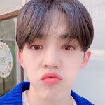 [세븐틴] 승행설