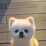 야 누가 나 좋아한대;;; 참고로 나 모솔임 <b>HELP</b>