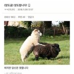 <b>야들</b>아 지금 무리