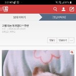 [댓글부탁해] 고슴도치 삶아서 <b>수육</b>으로 먹을수 있어?