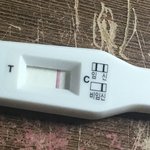 [19] 임신테스<b>트기</b>