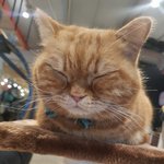 <b>쿨톤</b> 화장품 추천좀!