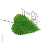 아이디어 <b>신박</b>한 캐릭터 아트