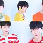 [드루와] 방탄 후배 <b>TXT</b> 걔네 있잖아