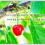 거짓으로 알고있는사실이  진실이라면,?