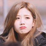 꼬부기상 <b>여돌</b>만 파는 외길인생