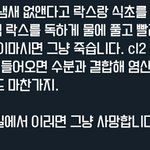 애들아 <b>식초</b>+락스 죽을수 있어 정말로??