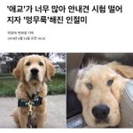 [드루와] 동ㅇㅏ리붙어서 기분조카조아진짜