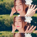 [아이린] <b>배추</b>
