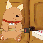 아날로그 <b>도쿄</b>살까?? 웨딩살까??