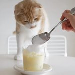 [댓글부탁해] <b>His</b>