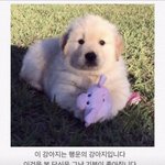 [댓글부탁해] 근데 나 진짜 순수하게 궁금한건데 백인들